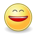 1449618583_face-smile-big